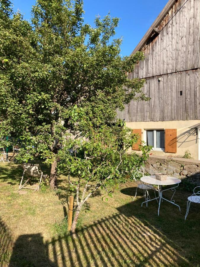 Gite Du Hibou - Jolie Dependance Sur Verger Muhlbach-sur-Munster Екстериор снимка